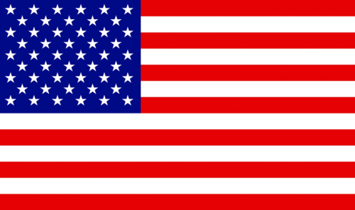Dragonfire Racing - Dragonfire Racing Whip Flag - 8.5in. x 17in. - American - 522125