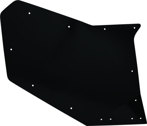 Dragonfire Racing - Dragonfire Racing Door Skin -  Rear Driver - 522297