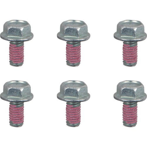 Moto-Master - Moto-Master Brake Rotor Bolts - M6x12 - 012017-PU