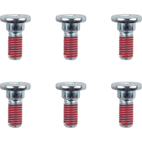 Moto-Master - Moto-Master Brake Rotor Bolts - M8x22 - 012001-PU