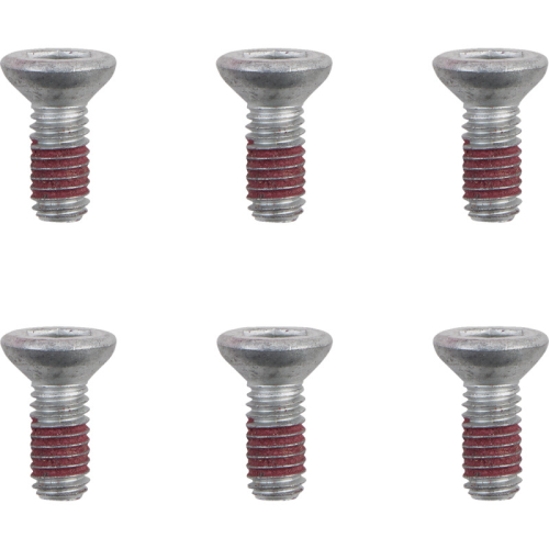 Moto-Master - Moto-Master Brake Rotor Bolts - M6x12 - 012007-PU