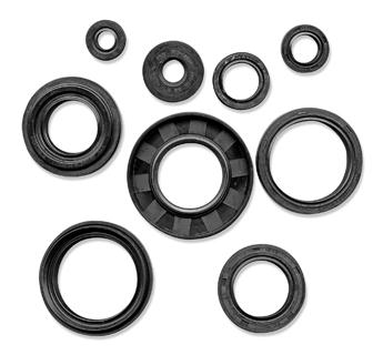 QuadBoss - QuadBoss Oil Seal Set - 564136