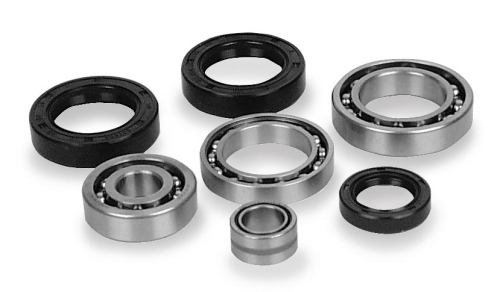 QuadBoss - QuadBoss Differential Bearing and Seal Kit - 413024
