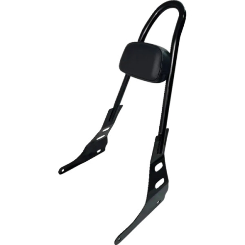Motherwell - Motherwell 21in. Sissy Bar - MWL-220-GB.
