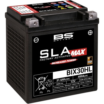 BS Battery - BS Battery SLA Factory-Activated AGM Maintenance-Free Battery - 300884