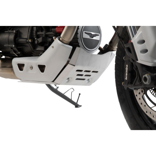 SW-MOTECH - SW-MOTECH Engine Guard - Silver - MSS.17.925.10000/S