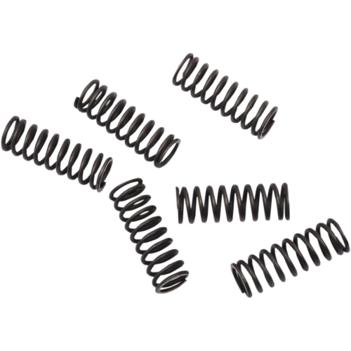 Moose Racing - Moose Racing Clutch Springs - FHDS155-6