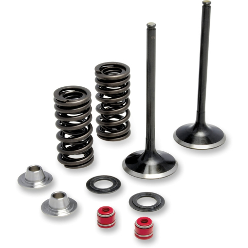 Moose Racing - Moose Racing Exhaust Valve Kit - M30-34010