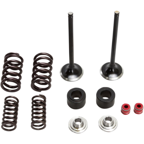 Moose Racing - Moose Racing Exhaust Valve Kit - M30-32450