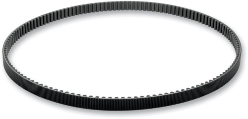 Belt Drives Ltd - Belt Drives Ltd 1-1/2in. Rear Drive Belt - 125T - PCC-125
