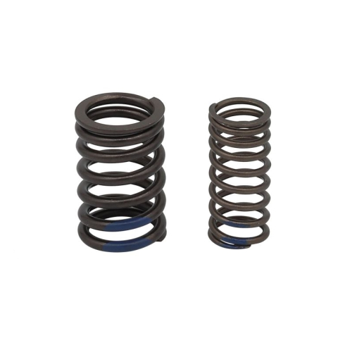 Psychic MX - Psychic MX Intake/Exhaust Valve Spring - XU-09567S