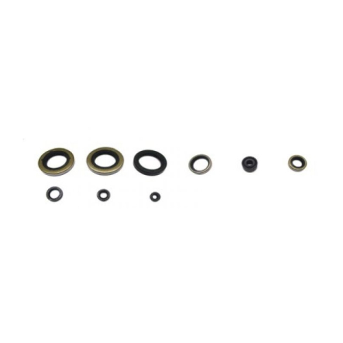 Psychic MX - Psychic MX Engine Oil Seal Kit - AT-09616