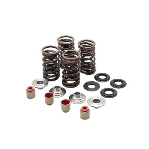 Kibblewhite Precision - Kibblewhite Precision Racing Spring Kit - Titanium - 0.450in. Lift - 82-86000