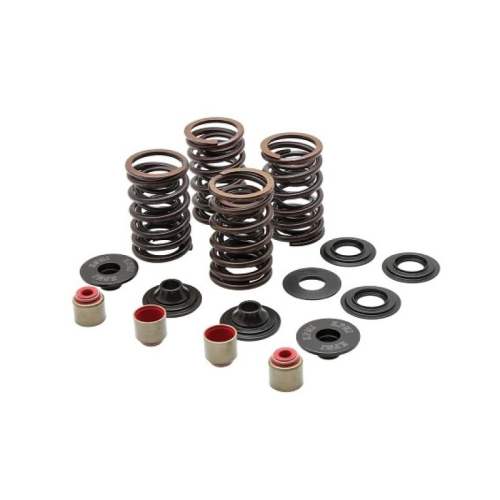 Kibblewhite Precision - Kibblewhite Precision Racing Spring Kit - Steel - 0.450in. Lift - 82-86010