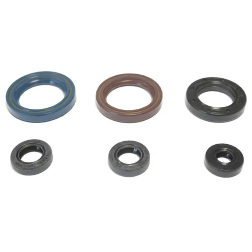Athena - Athena Engine Oil Seal Kit - P400270400012