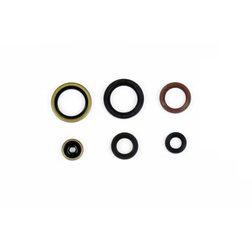 Athena - Athena Engine Oil Seal Kit - P400270400077