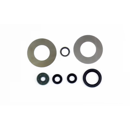 Athena - Athena Engine Oil Seal Kit - P400270400081