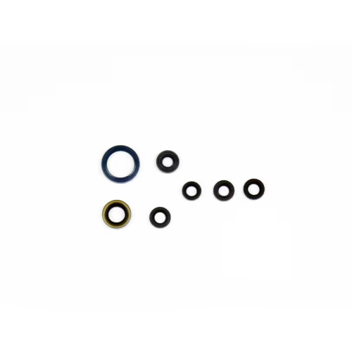 Athena - Athena Engine Oil Seal Kit - P400250400066