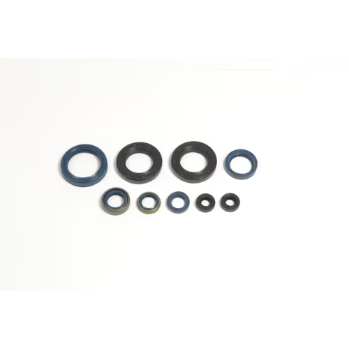 Athena - Athena Engine Oil Seal Kit - P400220400250