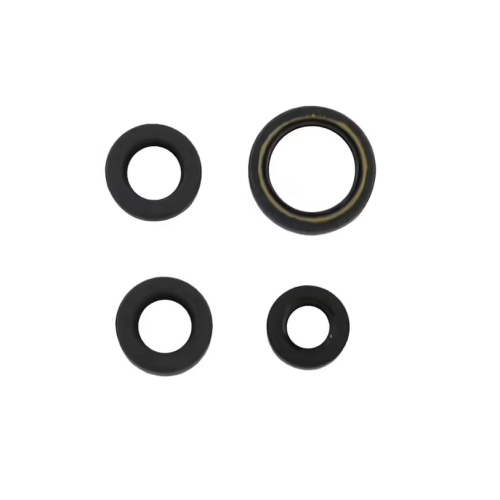 Athena - Athena Engine Oil Seal Kit - P400210400005