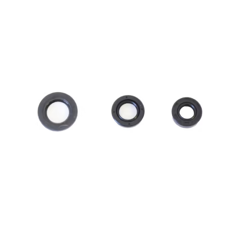 Athena - Athena Engine Oil Seal Kit - P400210400304