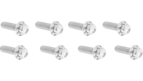 Arlen Ness - Arlen Ness 12 Point Lifter Block Bolt Kit - Polished - 300-935