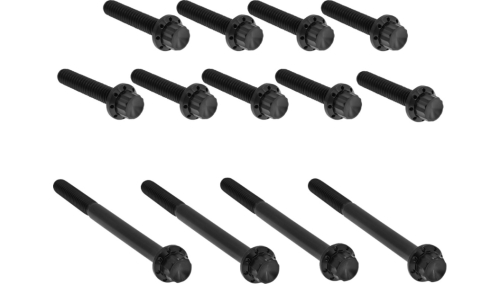 Arlen Ness - Arlen Ness 12 Point Primary Bolt Kit - Black - 300-990