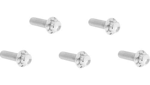 Arlen Ness - Arlen Ness 12 Point Derby Cover Bolt Kit - 300-938