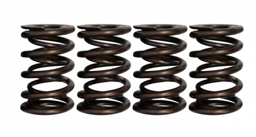 Ferrea Dual Valve Springs - S10053