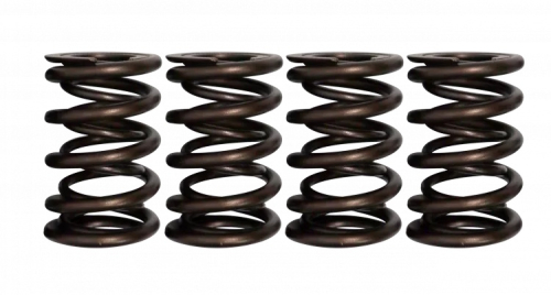 Ferrea Dual Valve Springs - S10096