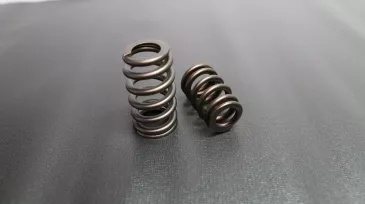 Ferrea Beehive Valve Springs - S2020
