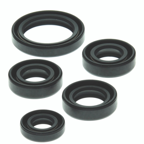 QuadBoss - QuadBoss Oil Seal Set - 564091