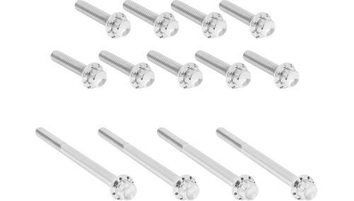 Arlen Ness - Arlen Ness 12 Point Primary Bolt Kit - Polished - 300-989