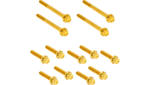 Arlen Ness - Arlen Ness 12 Point Primary Bolt Kit - Gold - 300-928