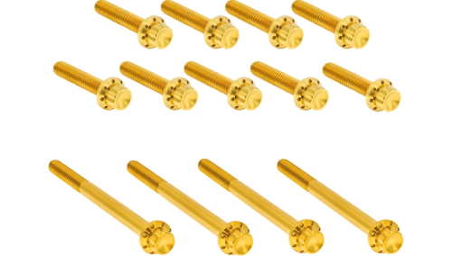 Arlen Ness - Arlen Ness 12 Point Primary Bolt Kit - Gold - 300-991