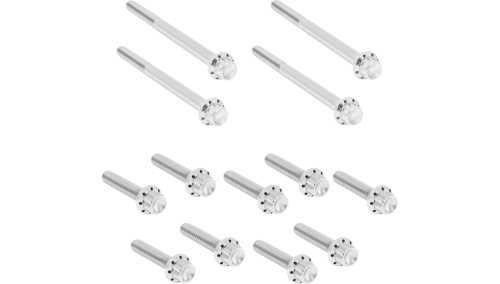 Arlen Ness - Arlen Ness 12 Point Primary Bolt Kit - Polished - 300-926