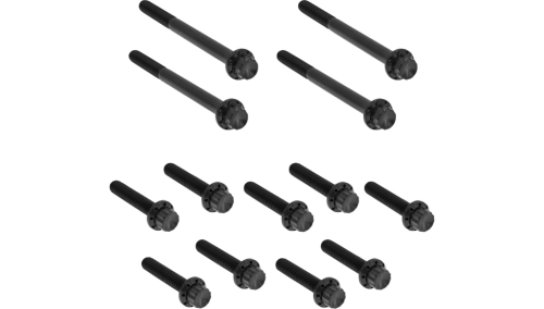 Arlen Ness - Arlen Ness 12 Point Primary Bolt Kit - Black - 300-927