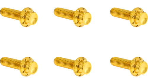Arlen Ness - Arlen Ness 12 Point Transmission Top Cover Bolt Kit - Gold - 300-949