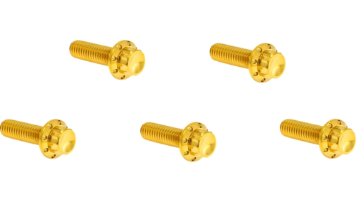 Arlen Ness - Arlen Ness 12 Point Derby Cover Bolt Kit - 300-940