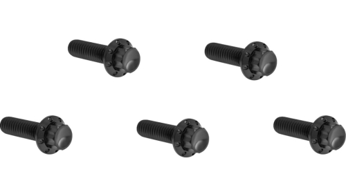 Arlen Ness - Arlen Ness 12 Point Derby Cover Bolt Kit - Black - 300-939