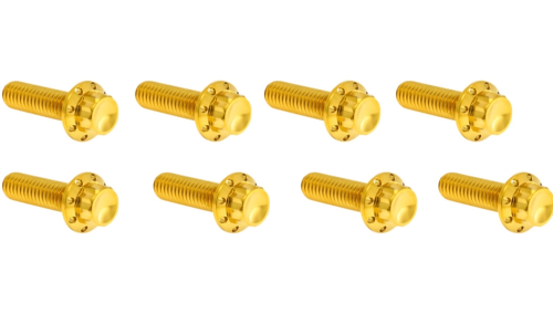Arlen Ness - Arlen Ness 12 Point Lifter Block Bolt Kit - Gold - 300-937