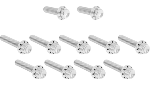 Arlen Ness - Arlen Ness 12 Point Cam Cover And Points Cover Bolt Kit - Polished - 300-980
