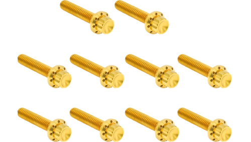 Arlen Ness - Arlen Ness 12 Point Cam Cover And Points Cover Bolt Kit - Gold - 300-988