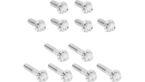 Arlen Ness - Arlen Ness 12 Point Rocker Box Bolt Kit - Polished - 300-992
