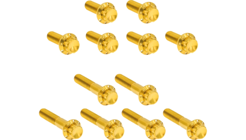 Arlen Ness - Arlen Ness 12 Point Rocker Box Bolt Kit - Gold - 300-994