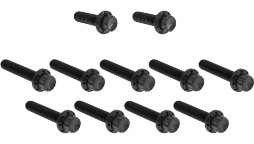 Arlen Ness - Arlen Ness 12 Point Cam Cover And Points Cover Bolt Kit - Black - 300-981