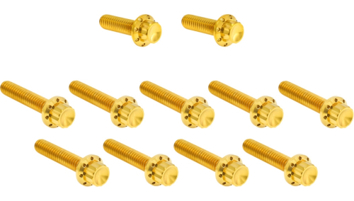 Arlen Ness - Arlen Ness 12 Point Cam Cover And Points Cover Bolt Kit - Gold - 300-982
