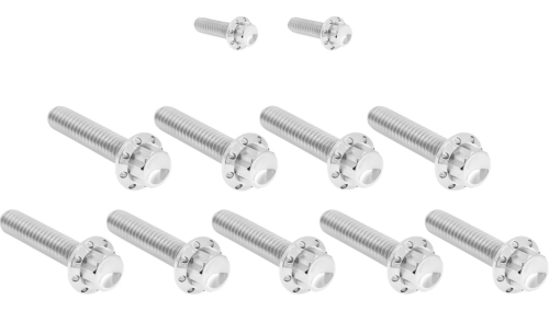 Arlen Ness - Arlen Ness 12 Point Cam Cover And Points Cover Bolt Kit - Polished - 300-932