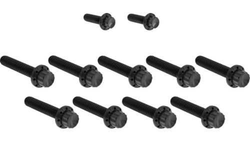 Arlen Ness - Arlen Ness 12 Point Cam Cover And Points Cover Bolt Kit - Black - 300-933