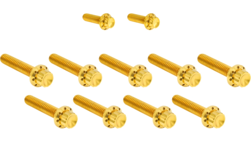 Arlen Ness - Arlen Ness 12 Point Cam Cover And Points Cover Bolt Kit - Gold - 300-934